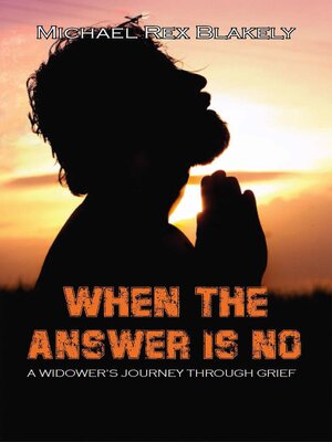 cover image of WHEN THE ANSWER IS NO!!!